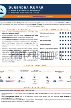 Sample Resume of Sales & Marketing Professional by FastResumes