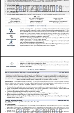 Sample Resume of Senior Business Analyst - Risk & Compliance by FastResumes