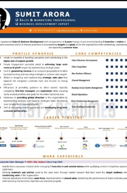 Visual Resume Sample by FastResumes page 1