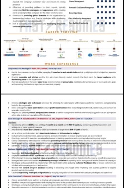 Visual Resume Sample by FastResumes